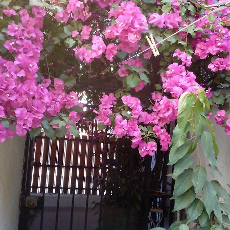 Alojamiento Alberto Magno Bed & Breakfast Santiago Exterior photo